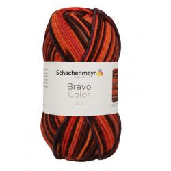 Bravo Color 2087