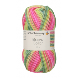 Bravo Color 2123