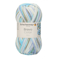 Bravo Color 2125