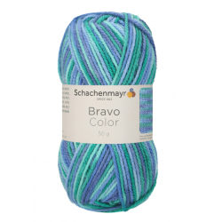 Bravo Color 2134